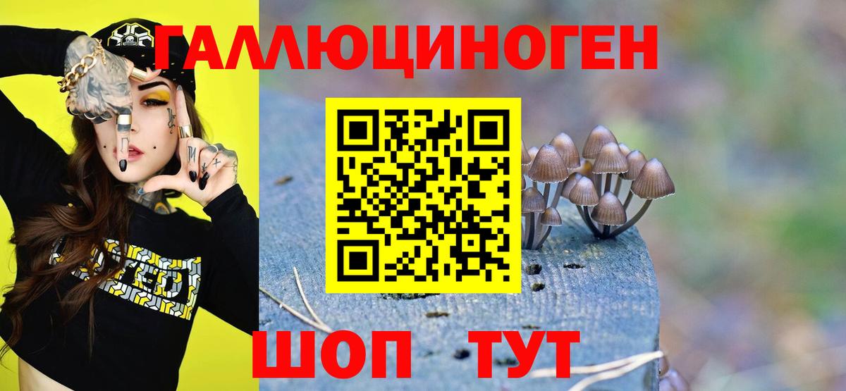 Галлюциногенные грибы Magic Shrooms Балашиха